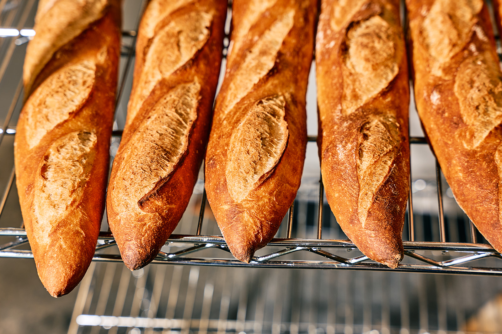 Grit Bakery: high quality photo of bread