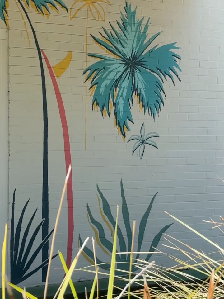 Point Break Coffee: attractive mural enhances venue atmosphere