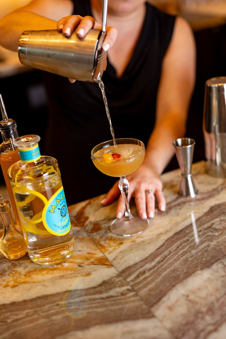 Terra: professional cocktail preparation shot