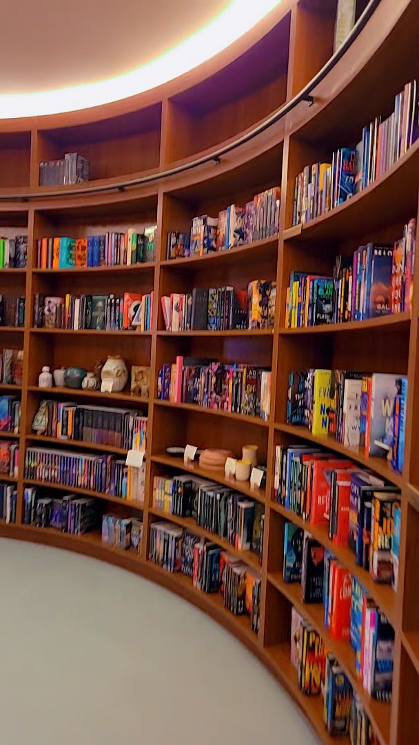 Bird's Bookstore: attractive display of bookstore shelves