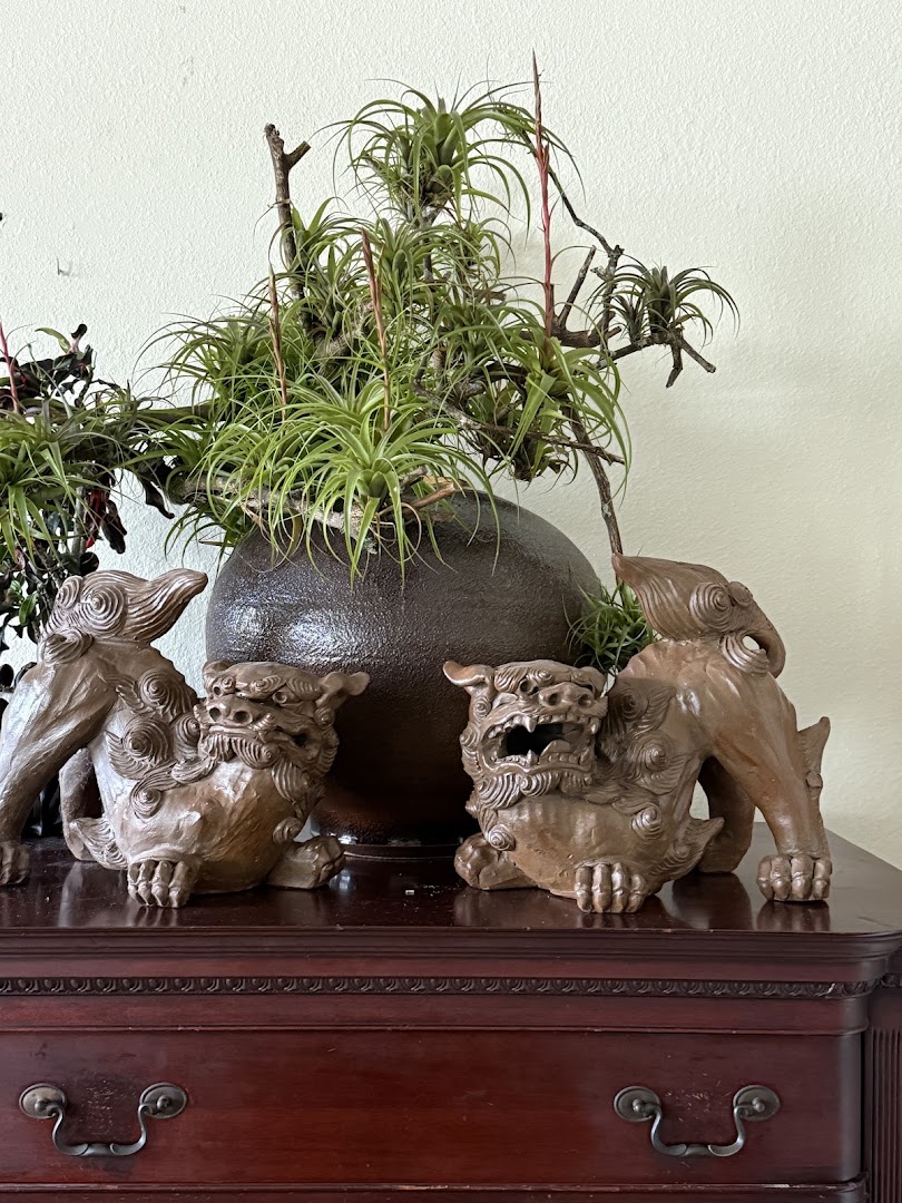 Island-Boy: high quality product display photo