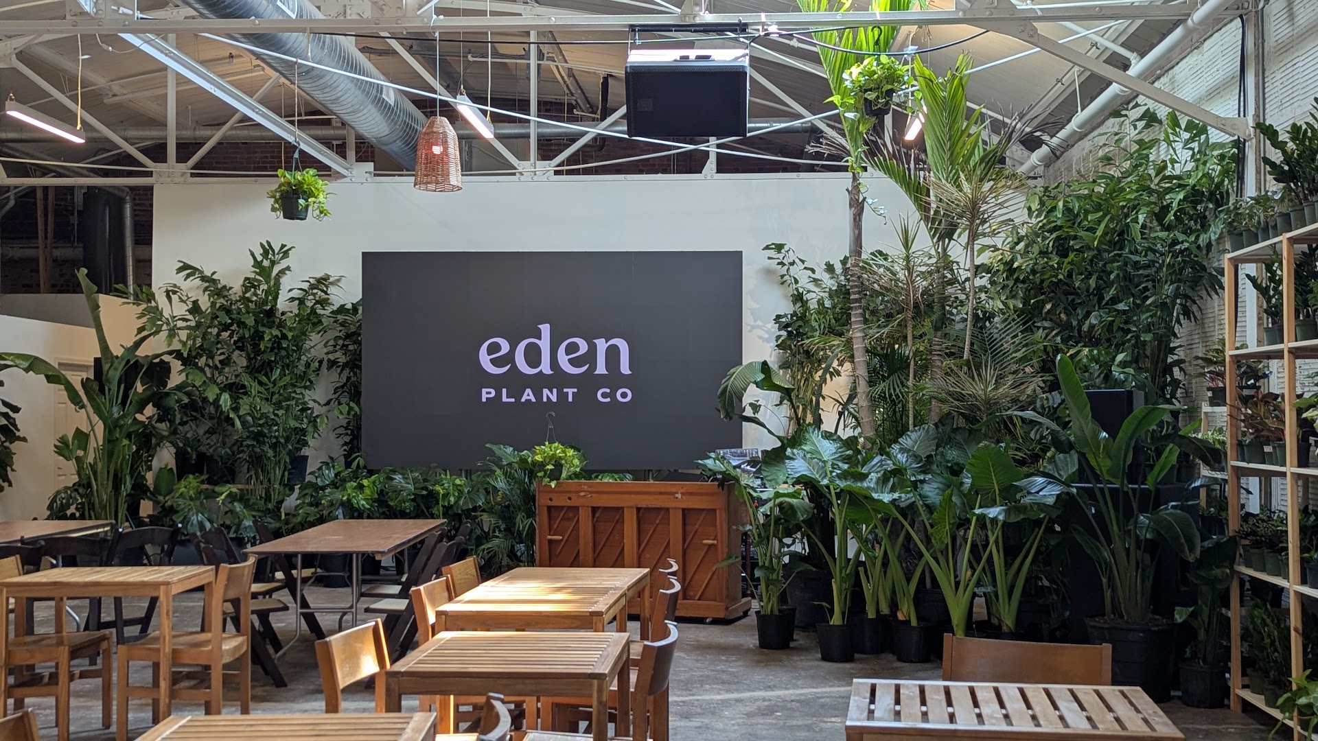 Eden Plant Co.: clear, professional shop interior photo