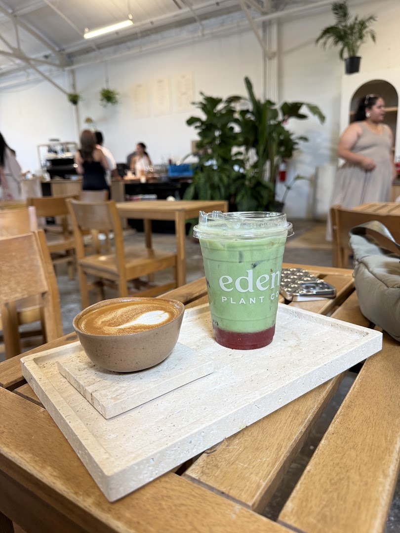 Eden Plant Co.: products and shop atmosphere