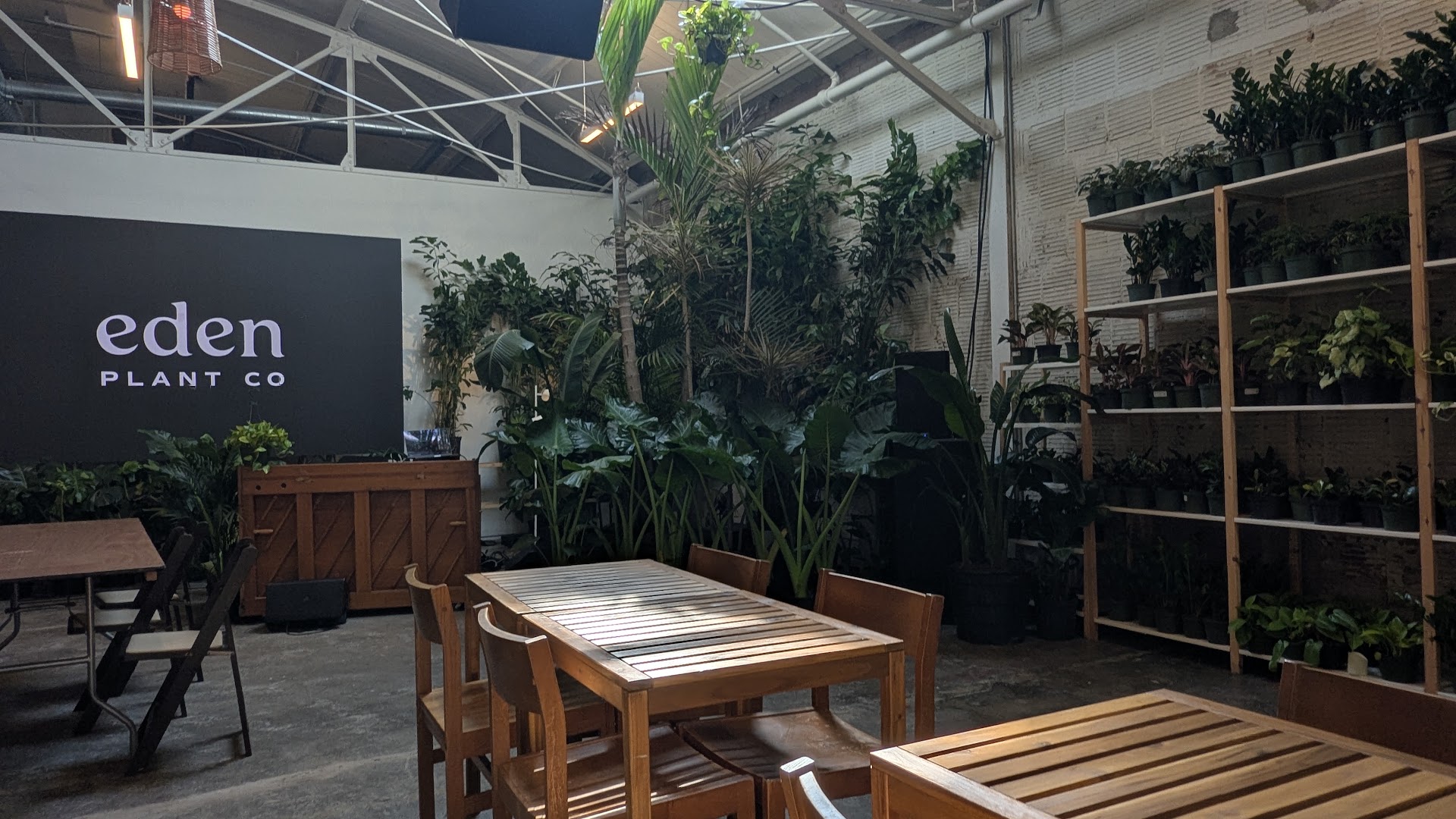 Eden Plant Co.: clear, professional shop interior shot