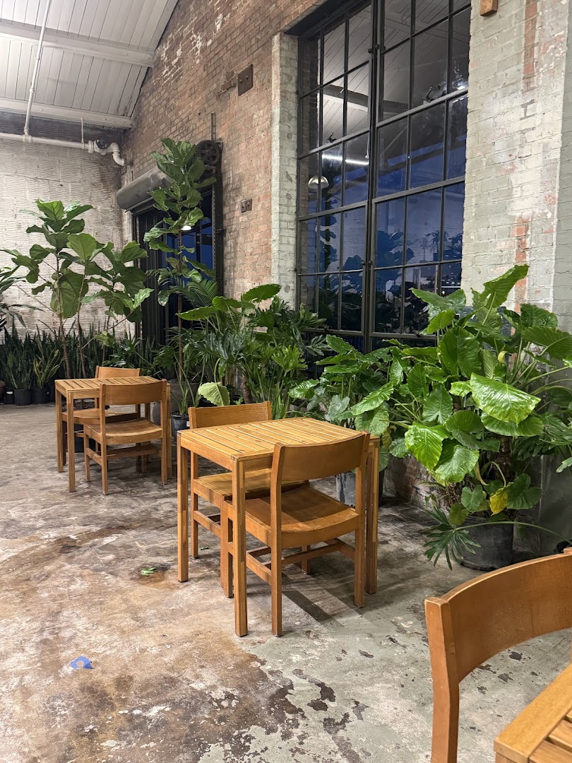 Eden Plant Co.: shop atmosphere and plants