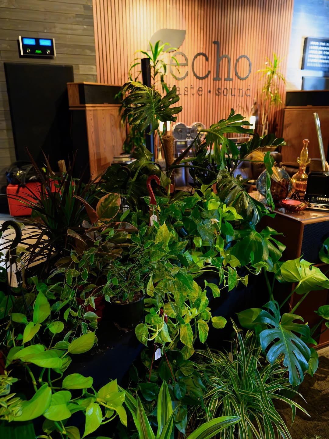 Echo Taste & Sound: venue interior and atmosphere