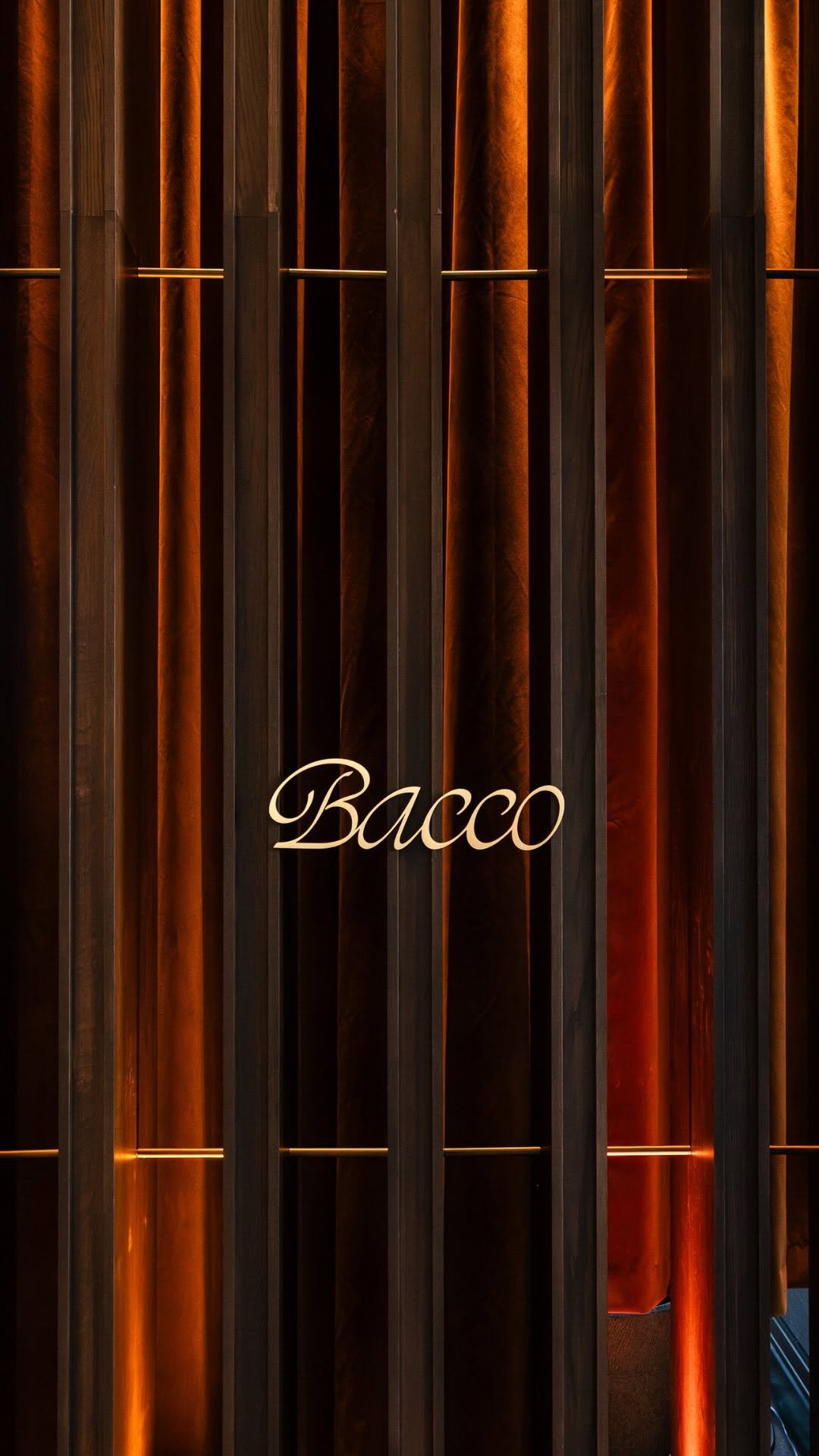 Bacco: elegant and professional interior shot