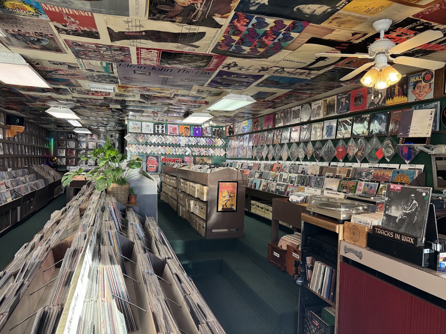 Tracks in Wax: clear, inviting shop interior photo