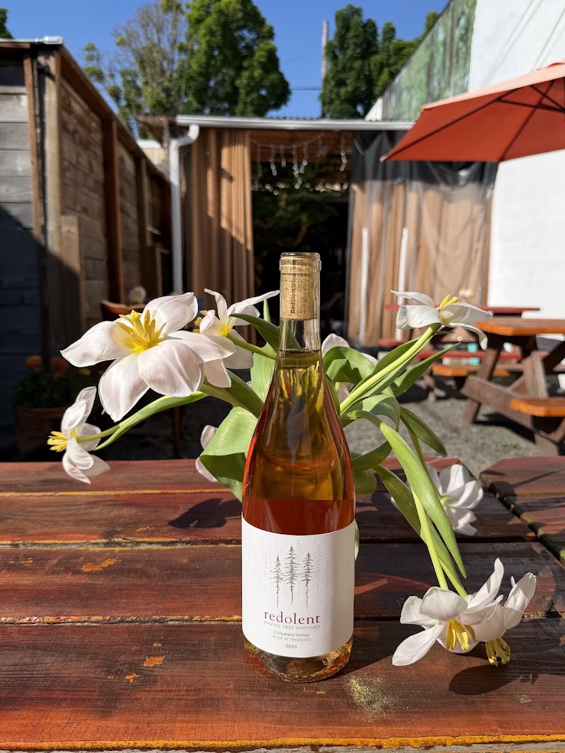No Doubts Wine Bar: appealing, professional wine bar photo