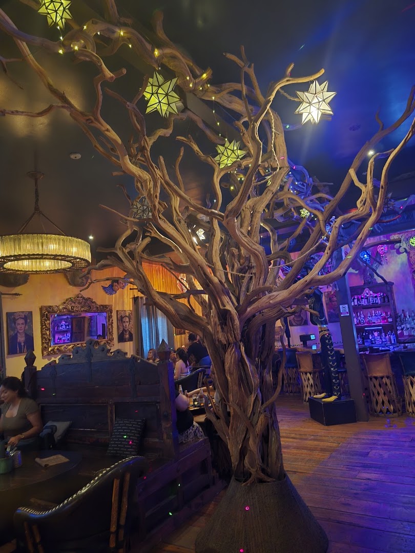 Casa Hernán Alta Cocina: unique restaurant interior atmosphere