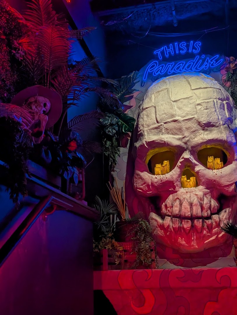 Paradise Unknown: unique bar interior atmosphere