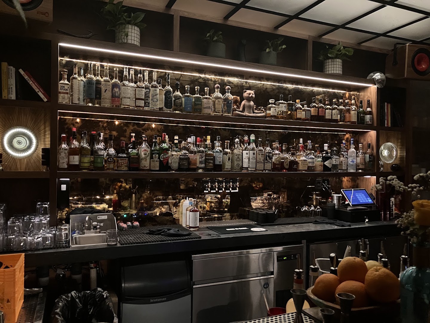 Kiku Room: high quality bar interior shot