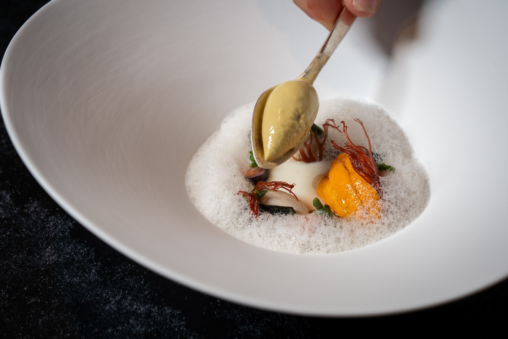 Lucien: professional high-quality food photography