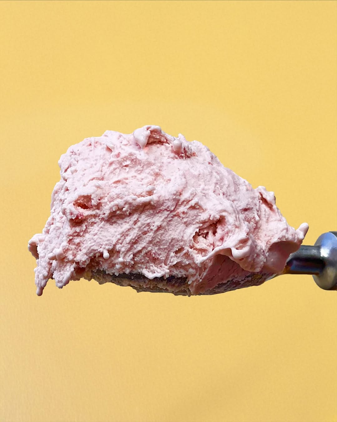 Gelateria di Cotogna: high quality, appetizing product photo