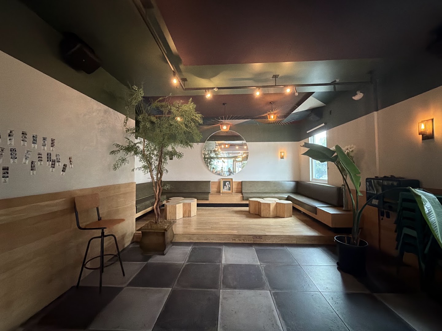 Stray Dog: clear, professional interior atmosphere shot
