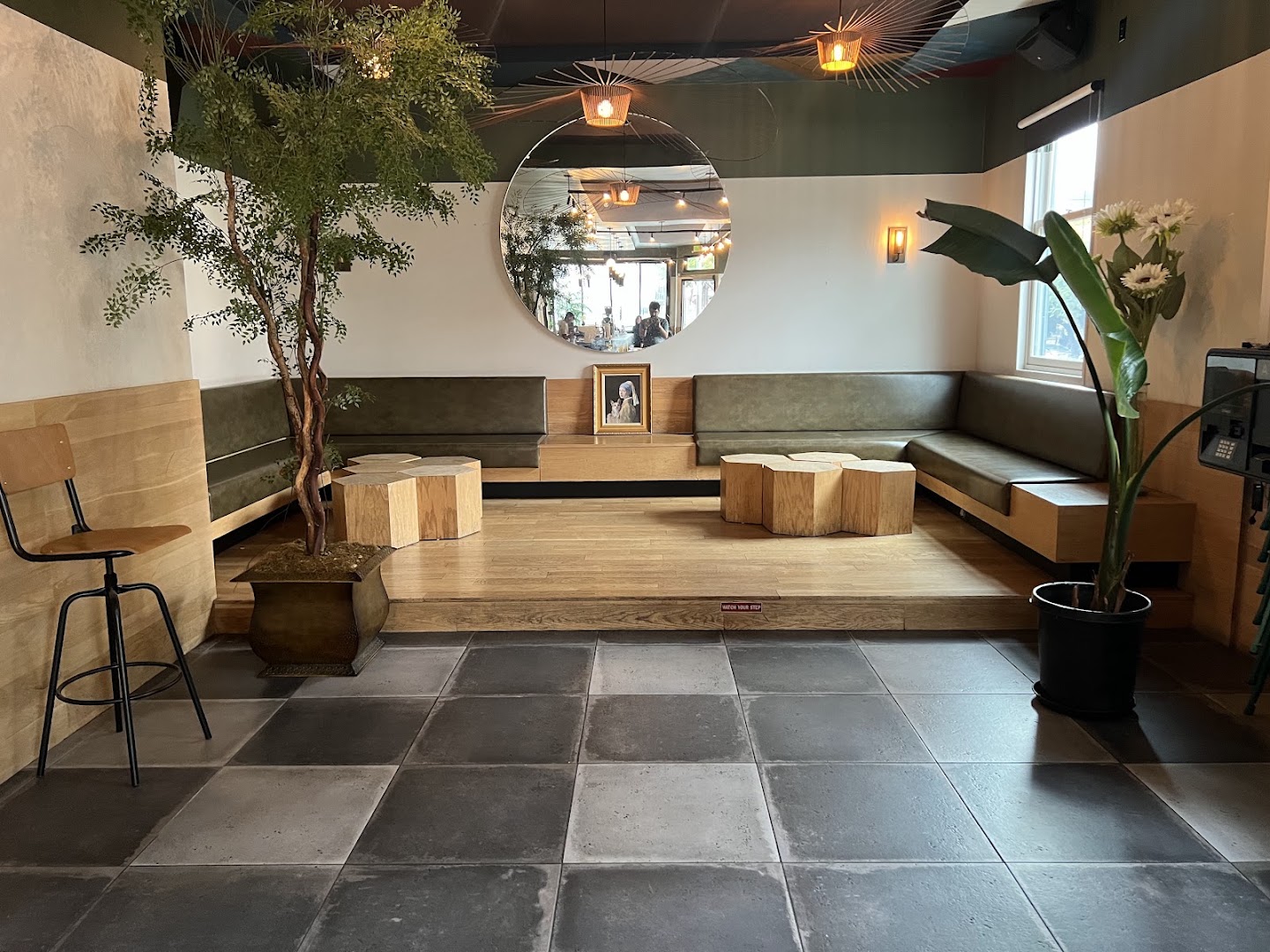 Stray Dog: clear, inviting interior atmosphere