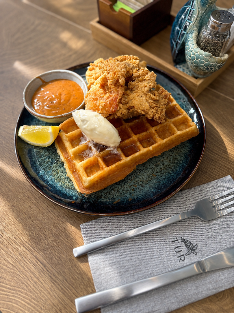 Tur: high quality, appetizing food photo