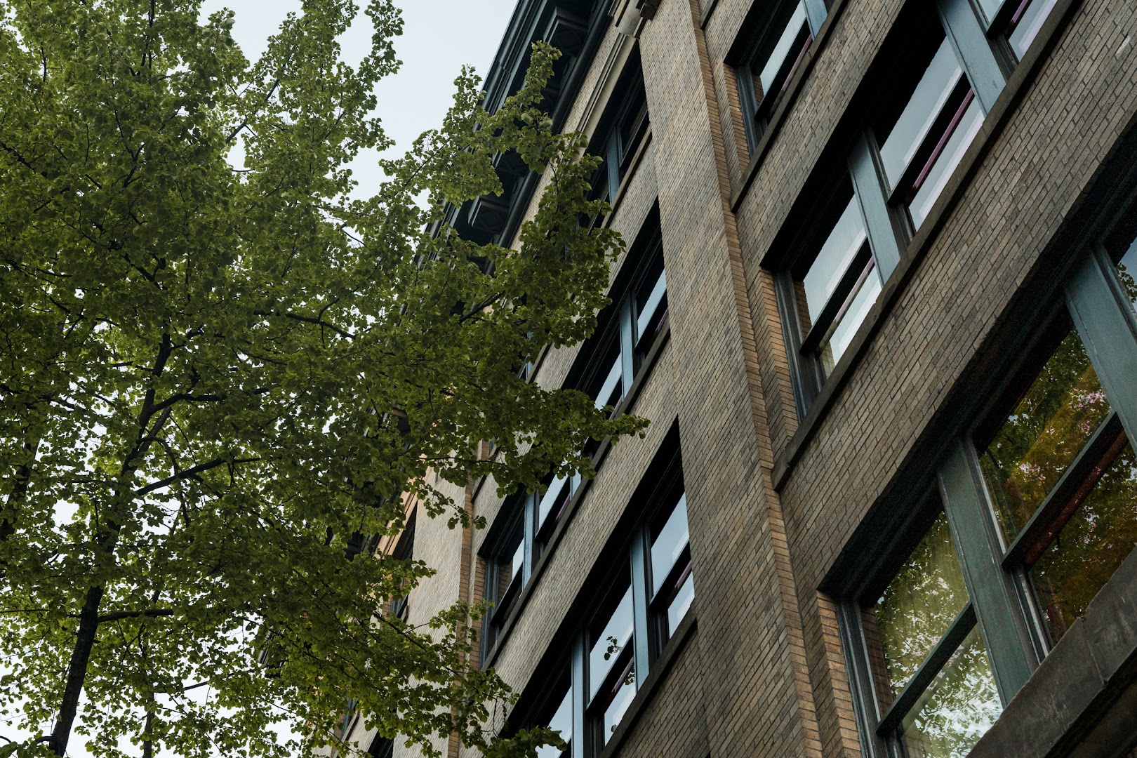 Populus Seattle: professional exterior architectural shot