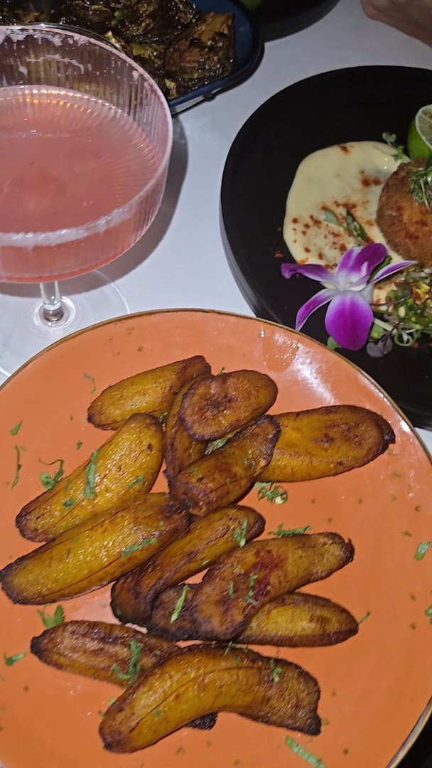 Gaia: appetizing food and drink presentation