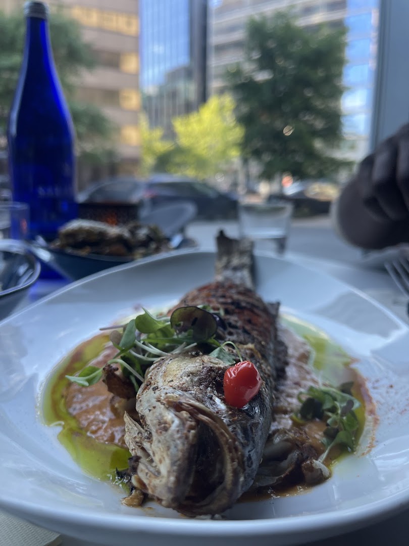 Gaia: appetizing photo of served dish