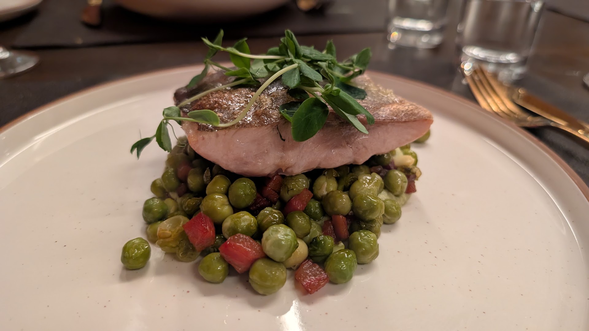 Tarì Trattoria: appetizing, high-quality food photography