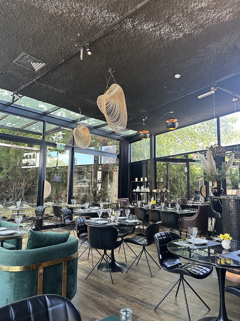 Charo: high quality interior atmosphere shot