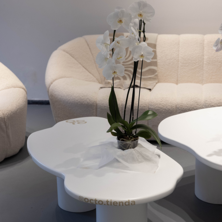 The Kul Store: clean aesthetic shop interior photo