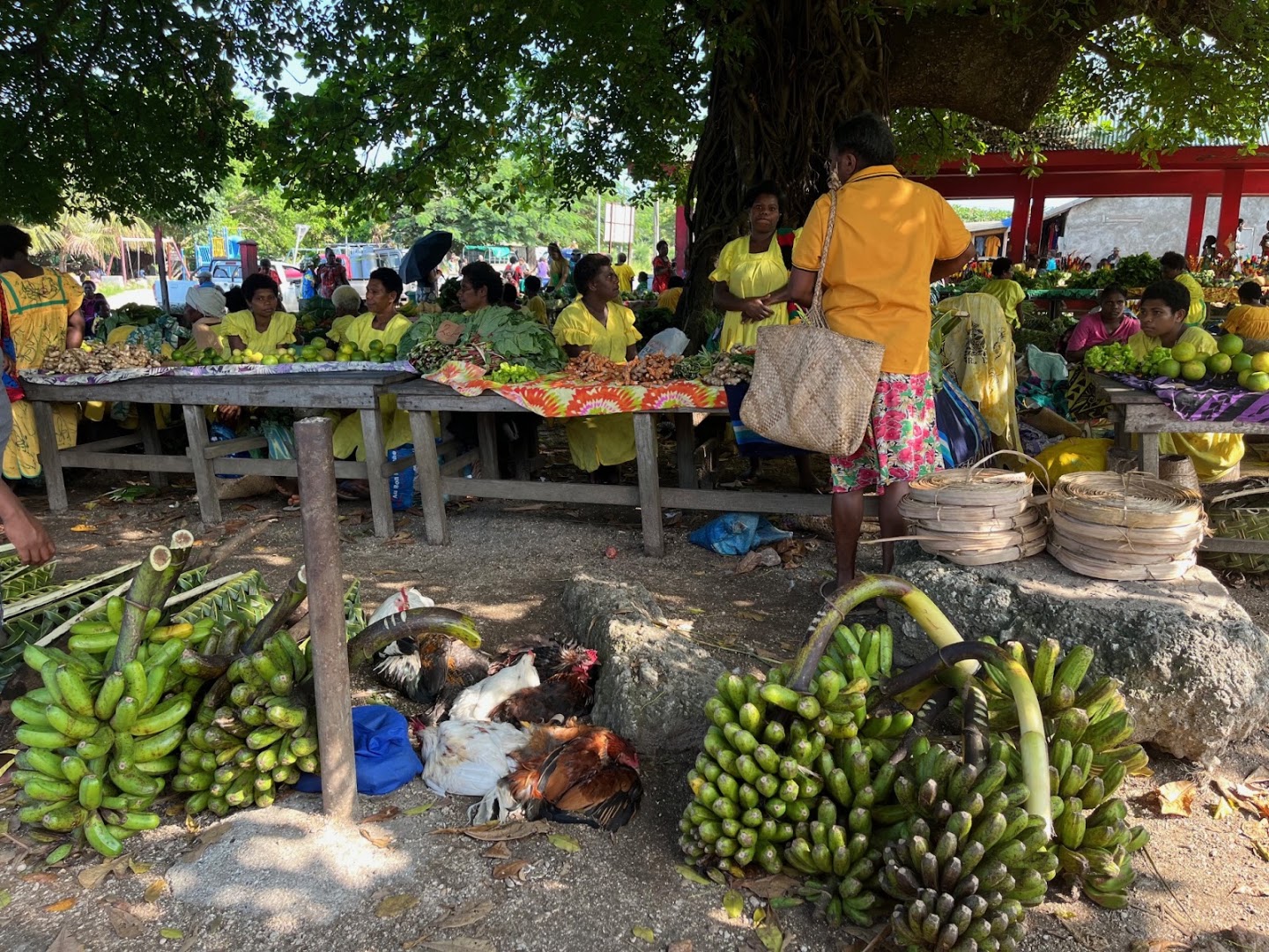 Lenakel Market: authentic market atmosphere and products
