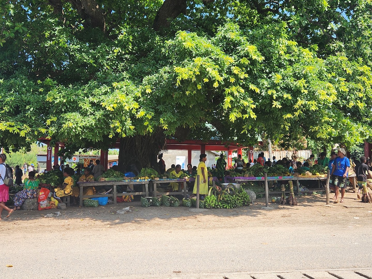 Lenakel Market: authentic market atmosphere and products