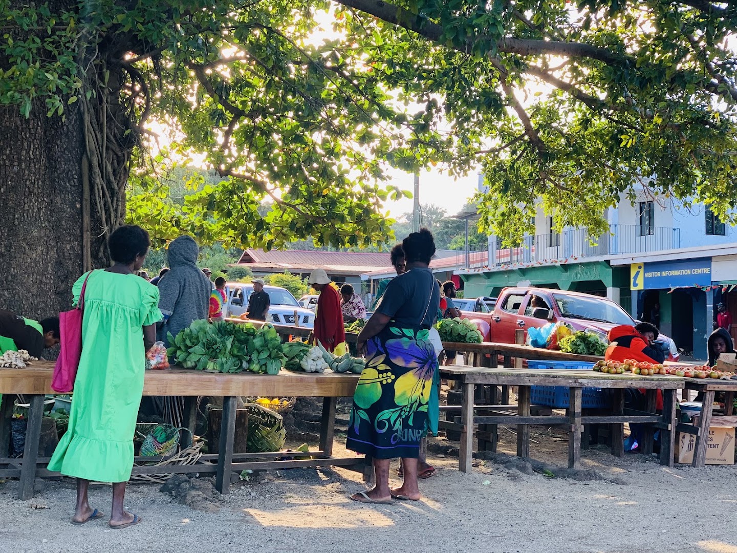Lenakel Market: authentic local market atmosphere