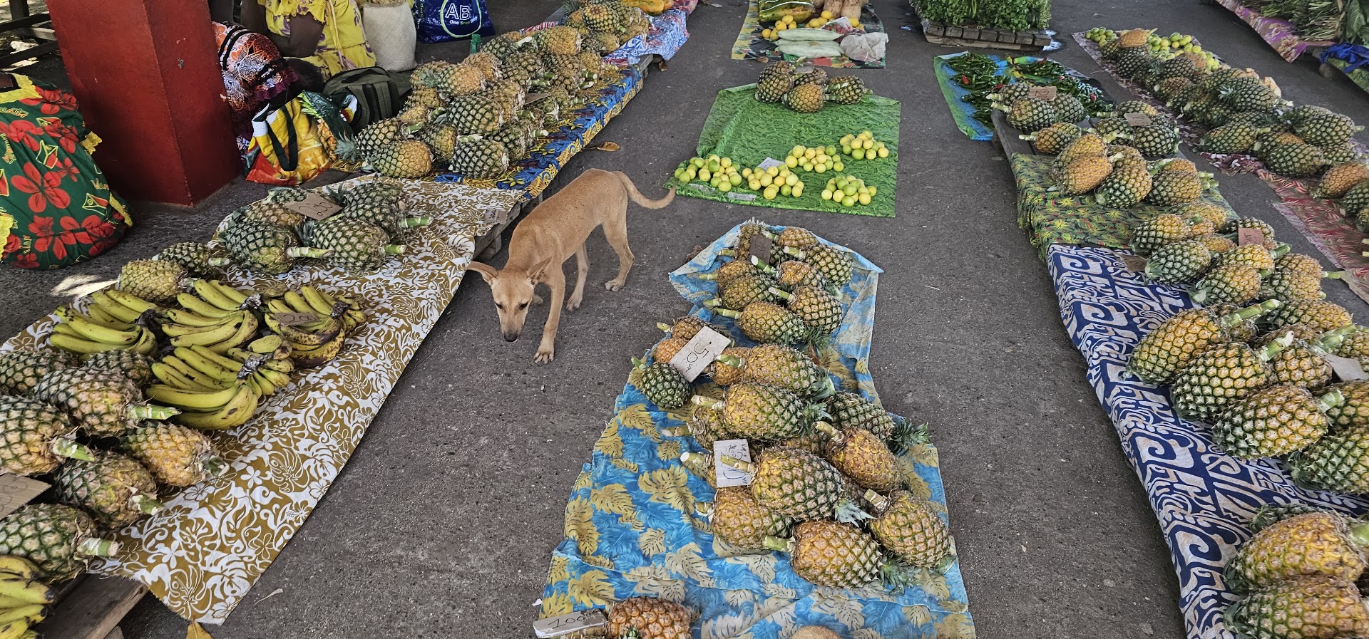 Lenakel Market: clear display of market products