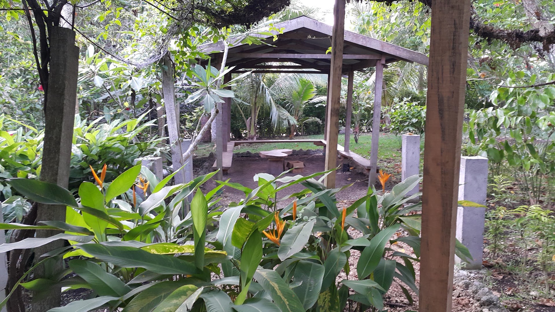 El Manaro Kava Bar: venue's outdoor atmosphere