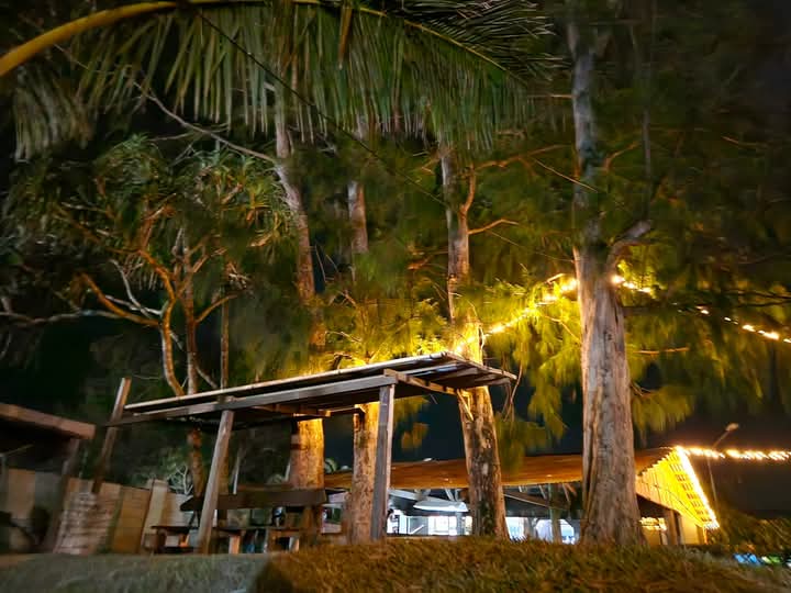 Sano's Kava Bar: atmospheric night shot of venue
