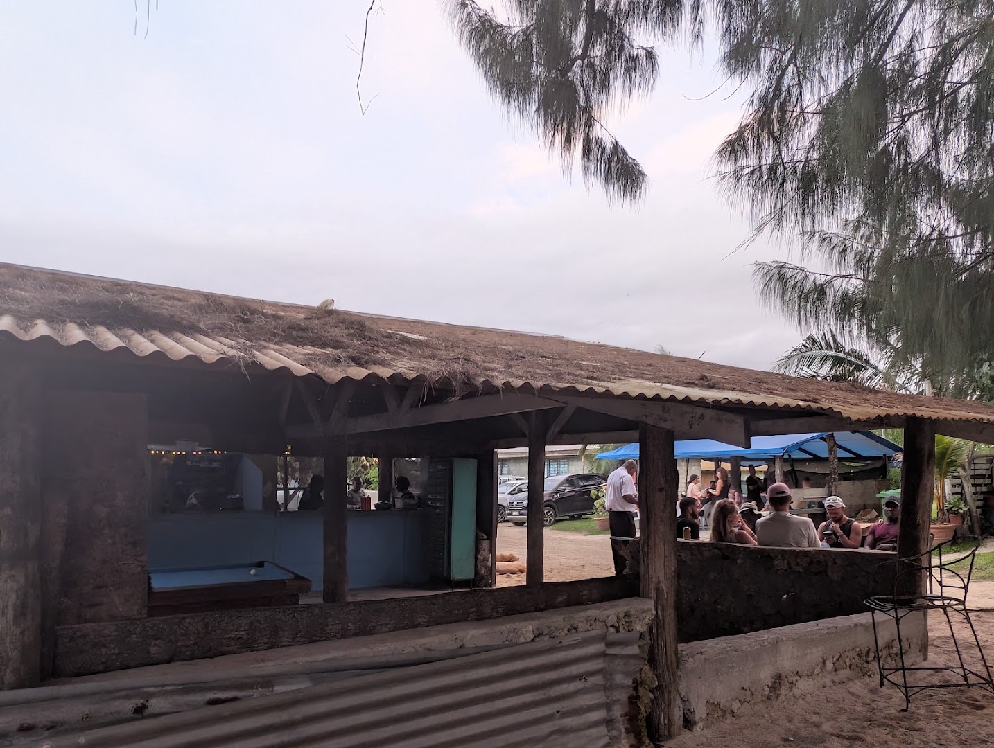 Sano's Kava Bar: venue atmosphere and patrons