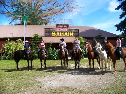 War Horse Saloon: venue exterior and atmosphere