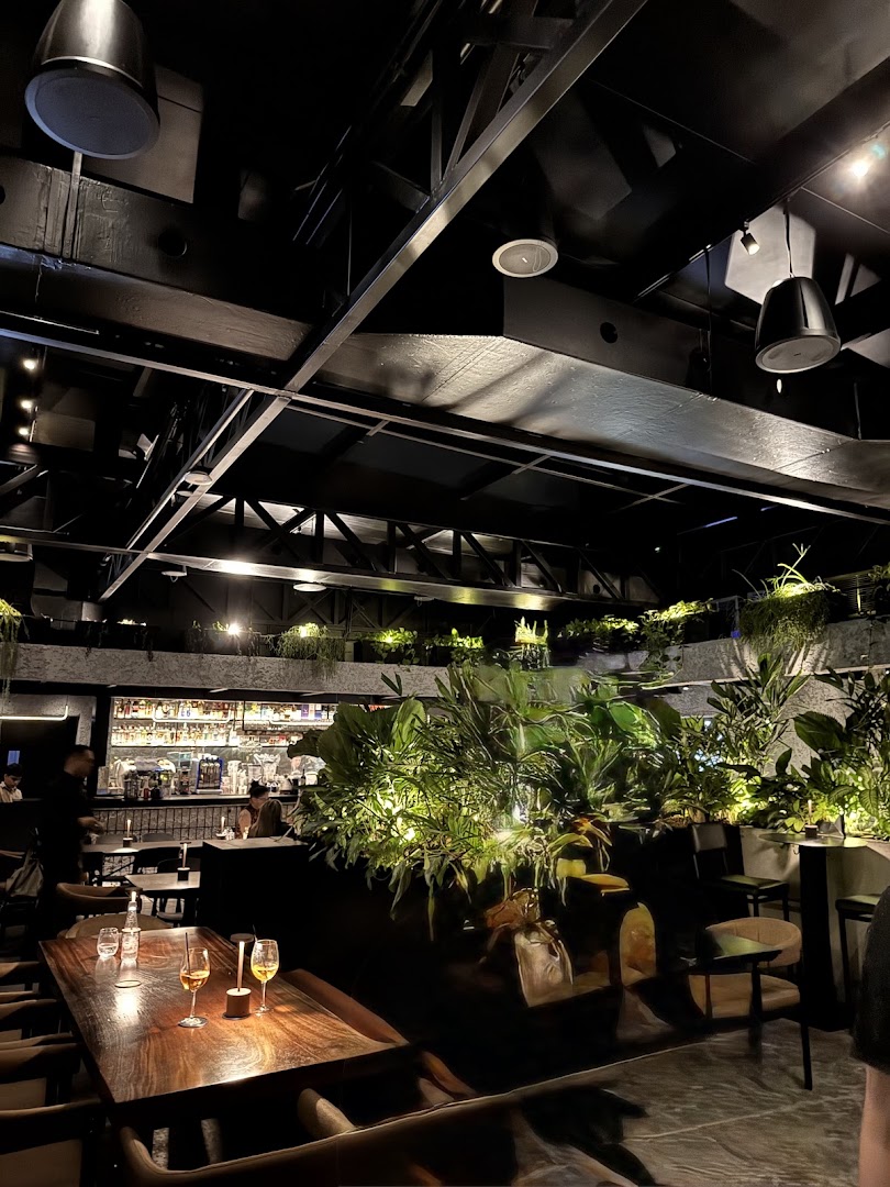 Mestizo Rooftop: high quality atmospheric venue shot