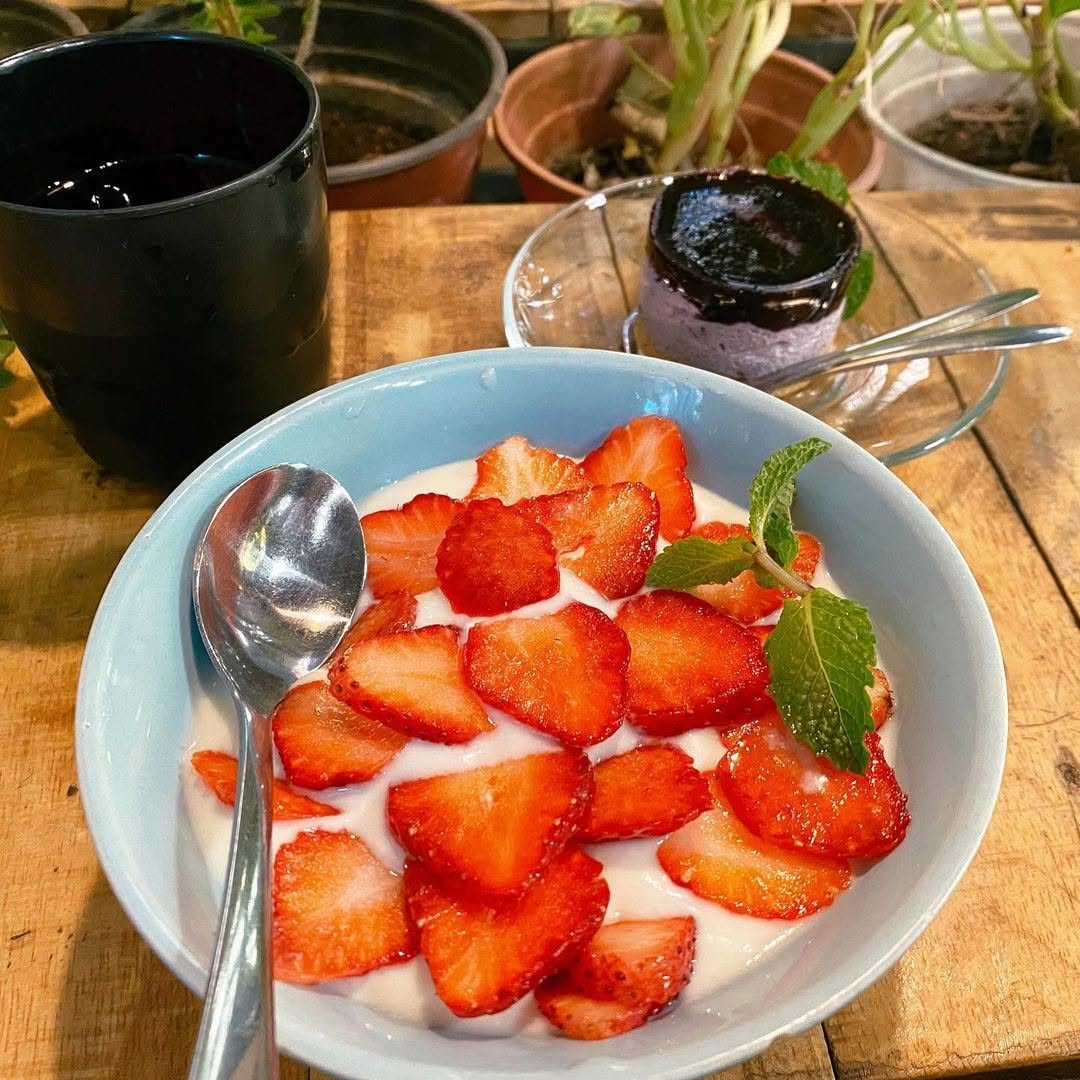 An Cafe: appetizing food photography