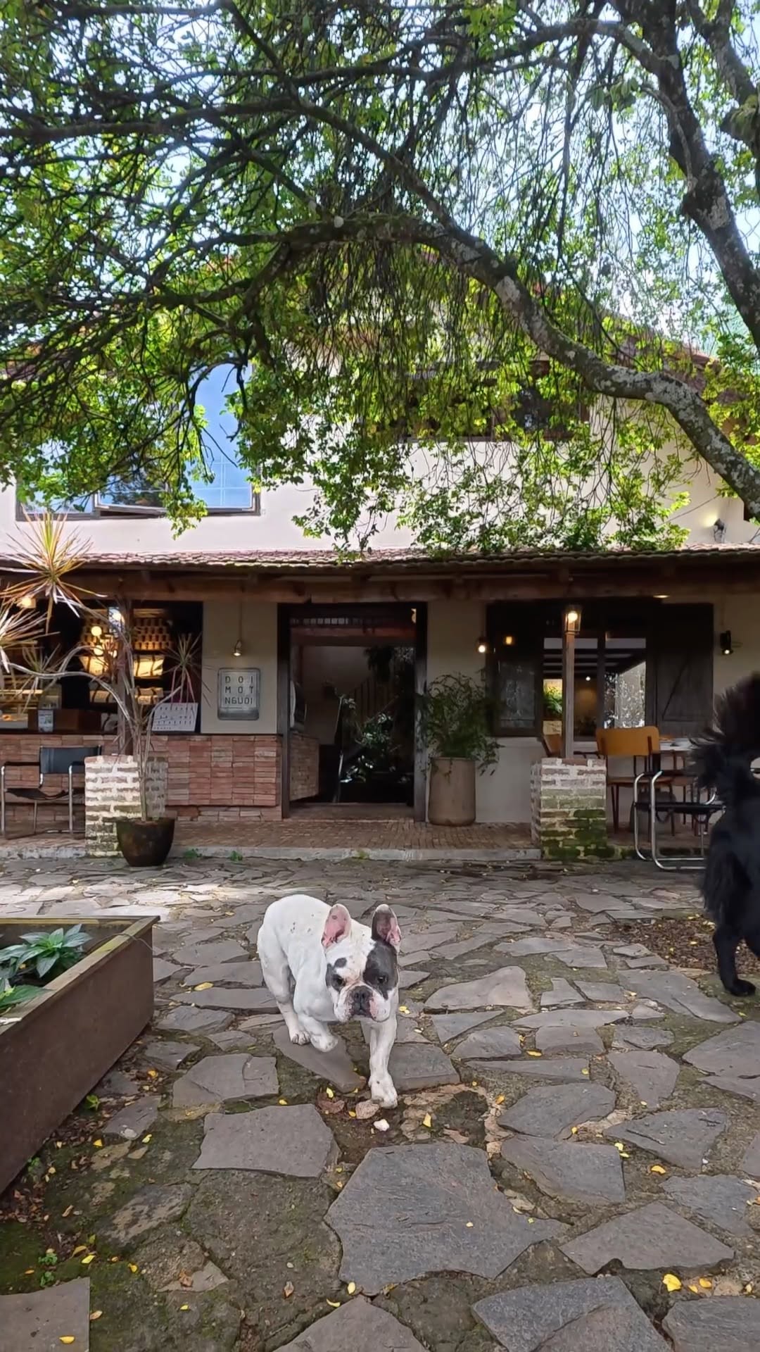 Đợi Một Người: inviting atmosphere and clear exterior