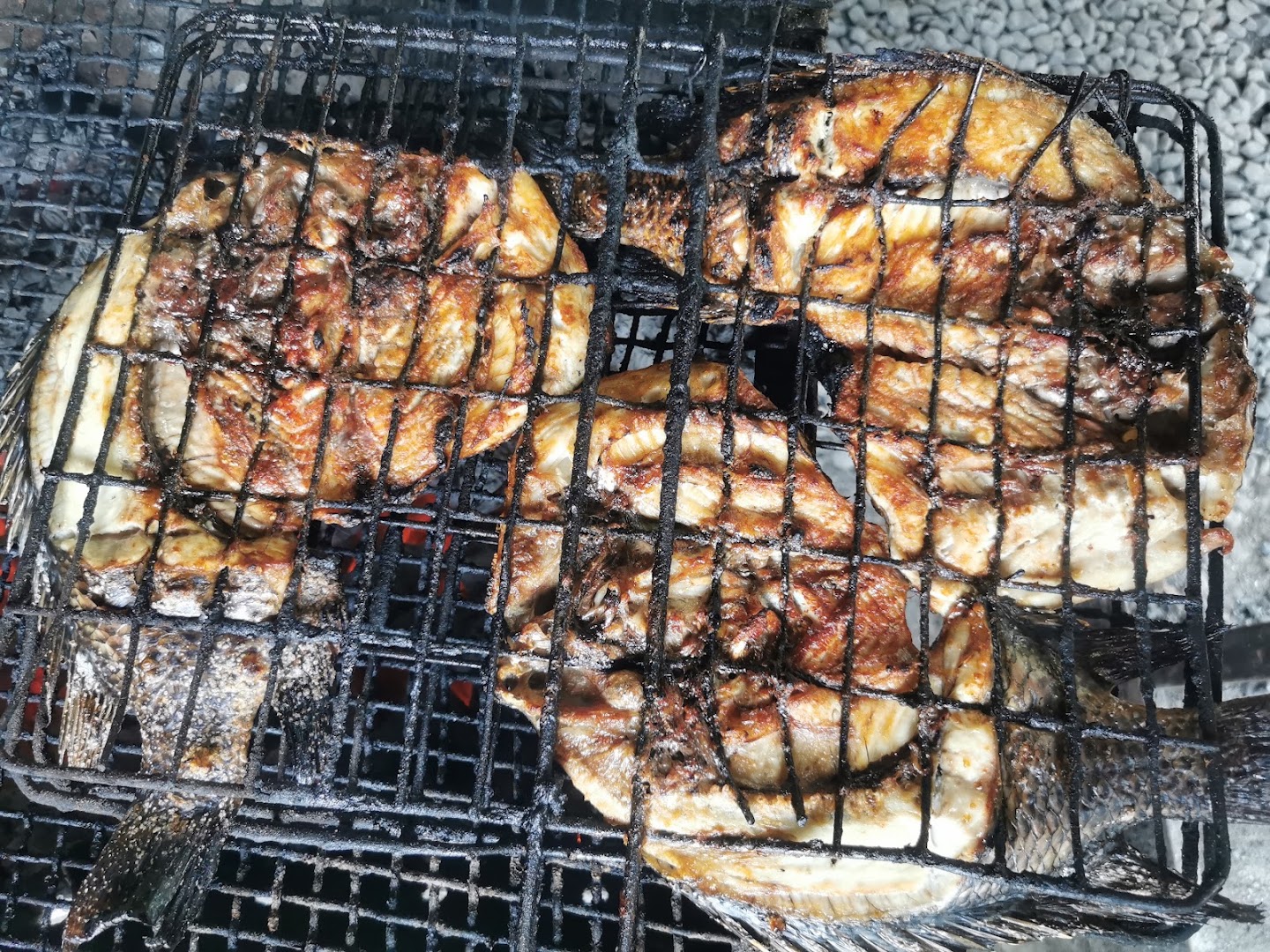 Izani Traditional Restaurant: appetizing photo of grilled fish