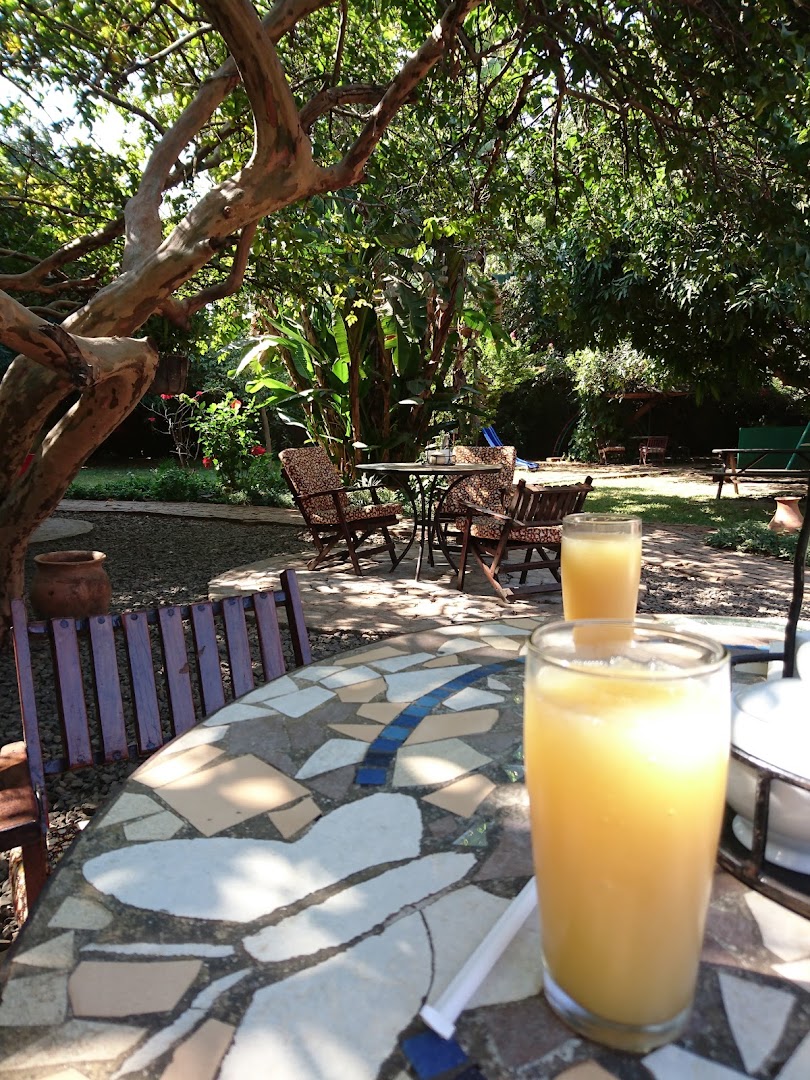 The Mango Tree Cafe: inviting terrace atmosphere and drinks