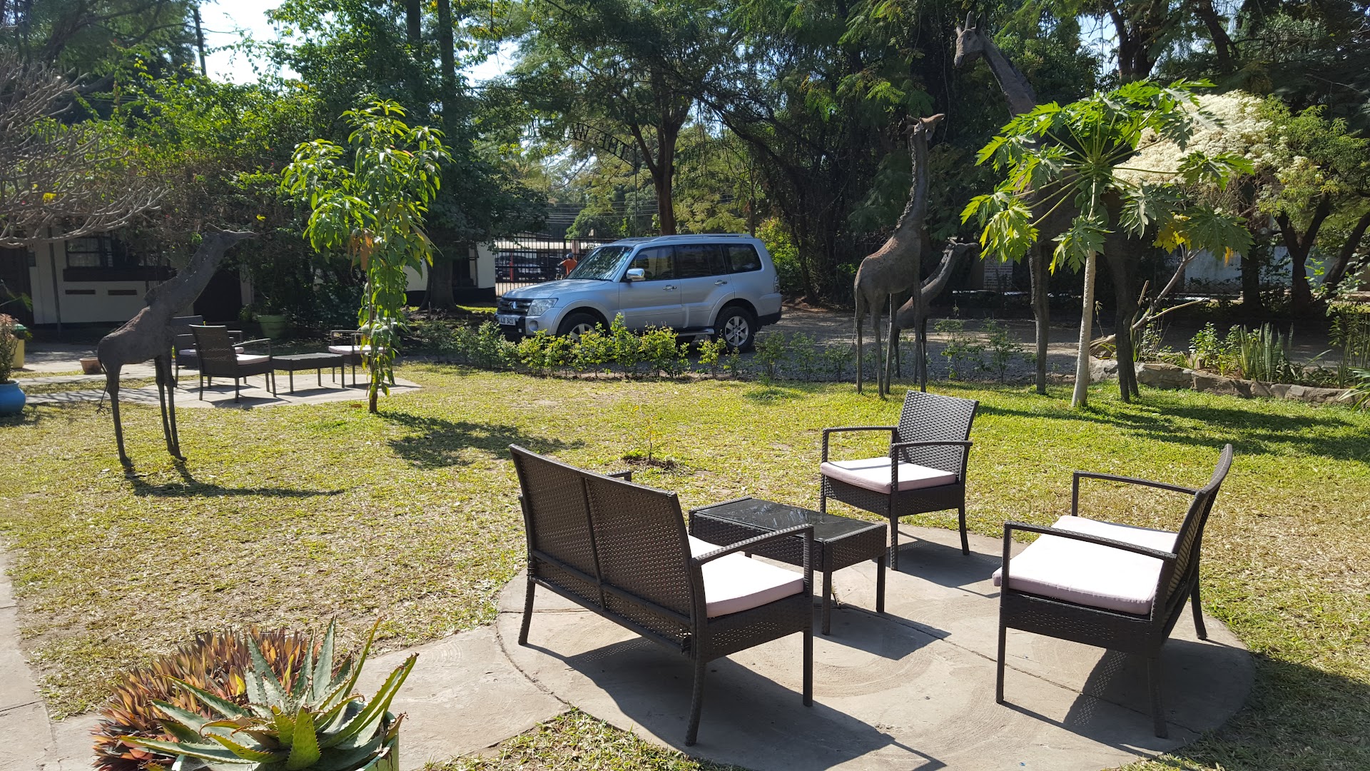 The Mango Tree Cafe: pleasant outdoor seating area