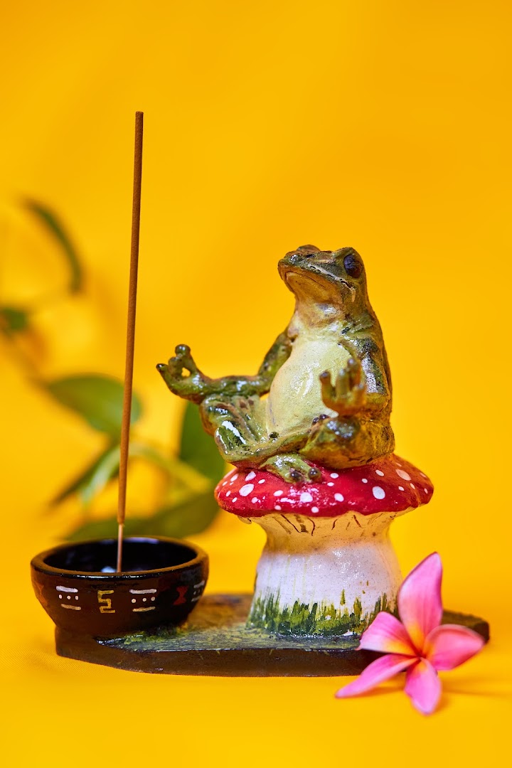 Wildflower Ceramics: high quality product display photo