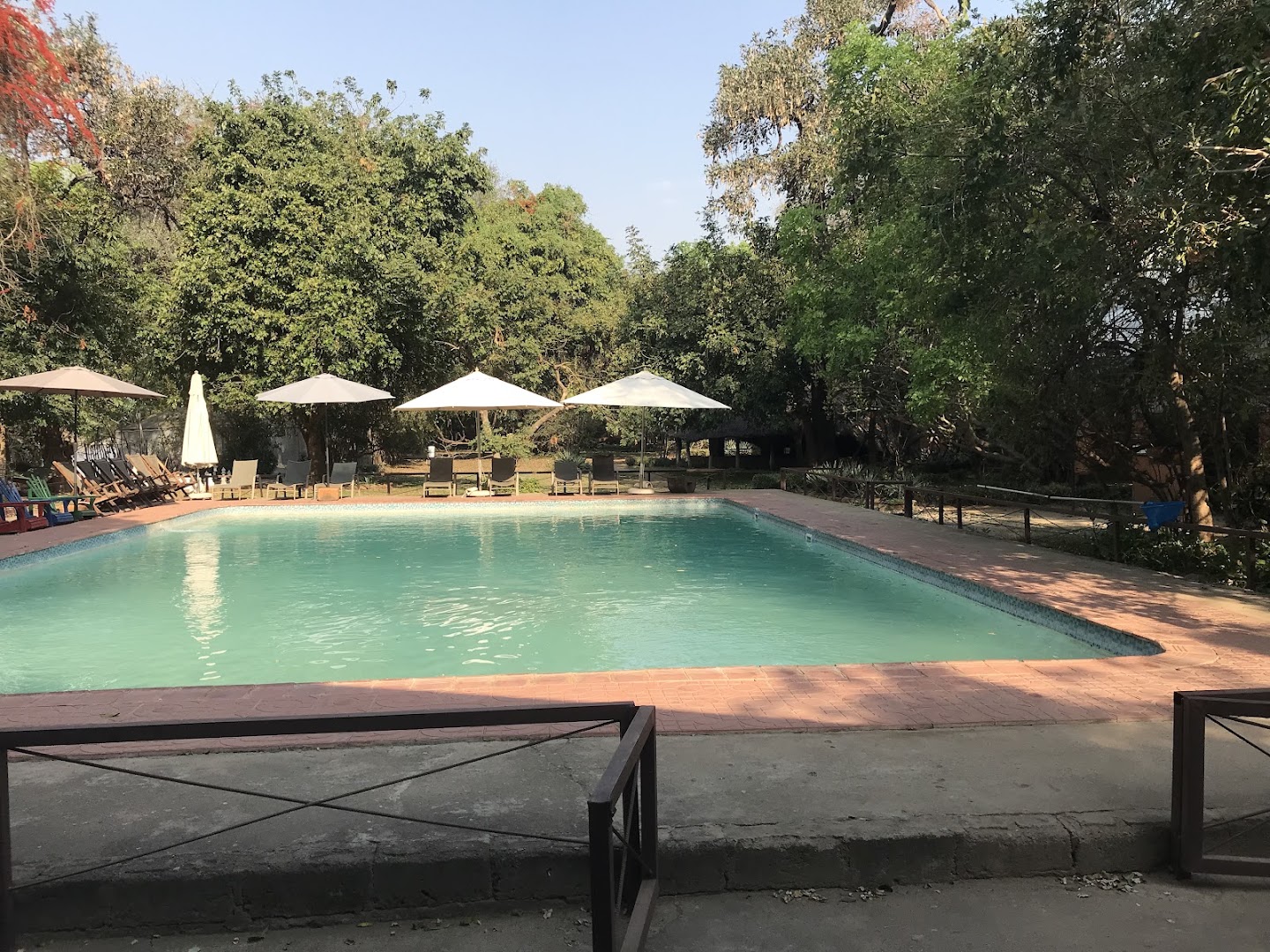 Croc Valley Camp: clear, inviting pool area photo