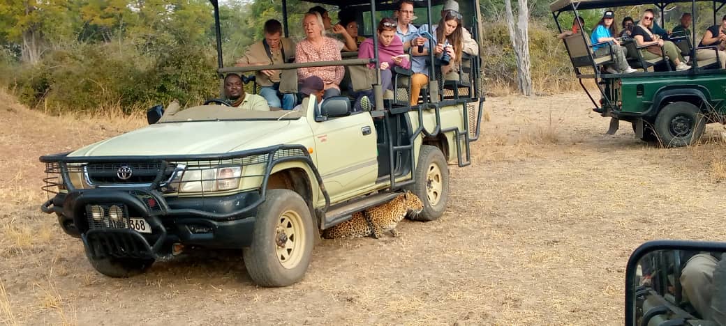 Croc Valley Camp: guests enjoying safari experience