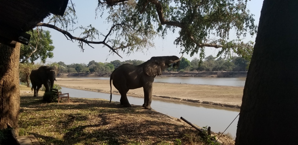 Croc Valley Camp: showcases unique venue location
