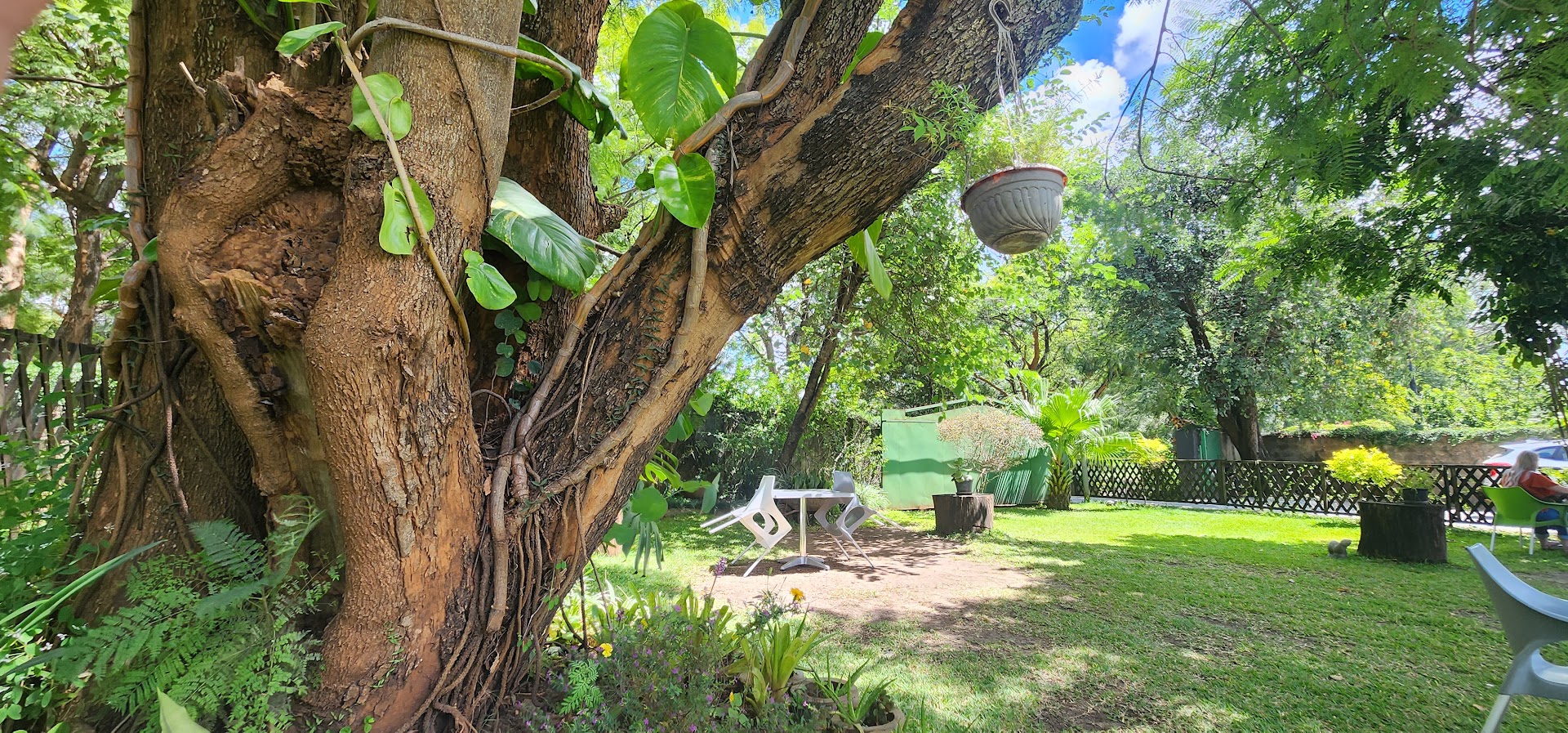 Mint Café Ndola: pleasant outdoor seating area