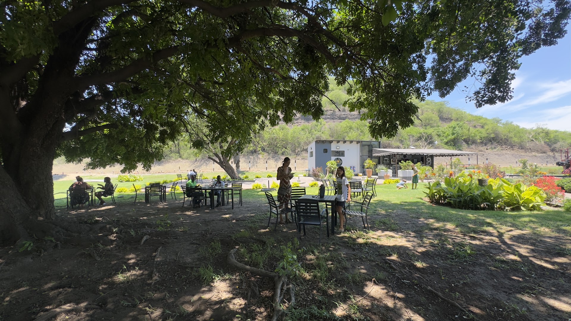Loco Cafe: inviting outdoor seating area