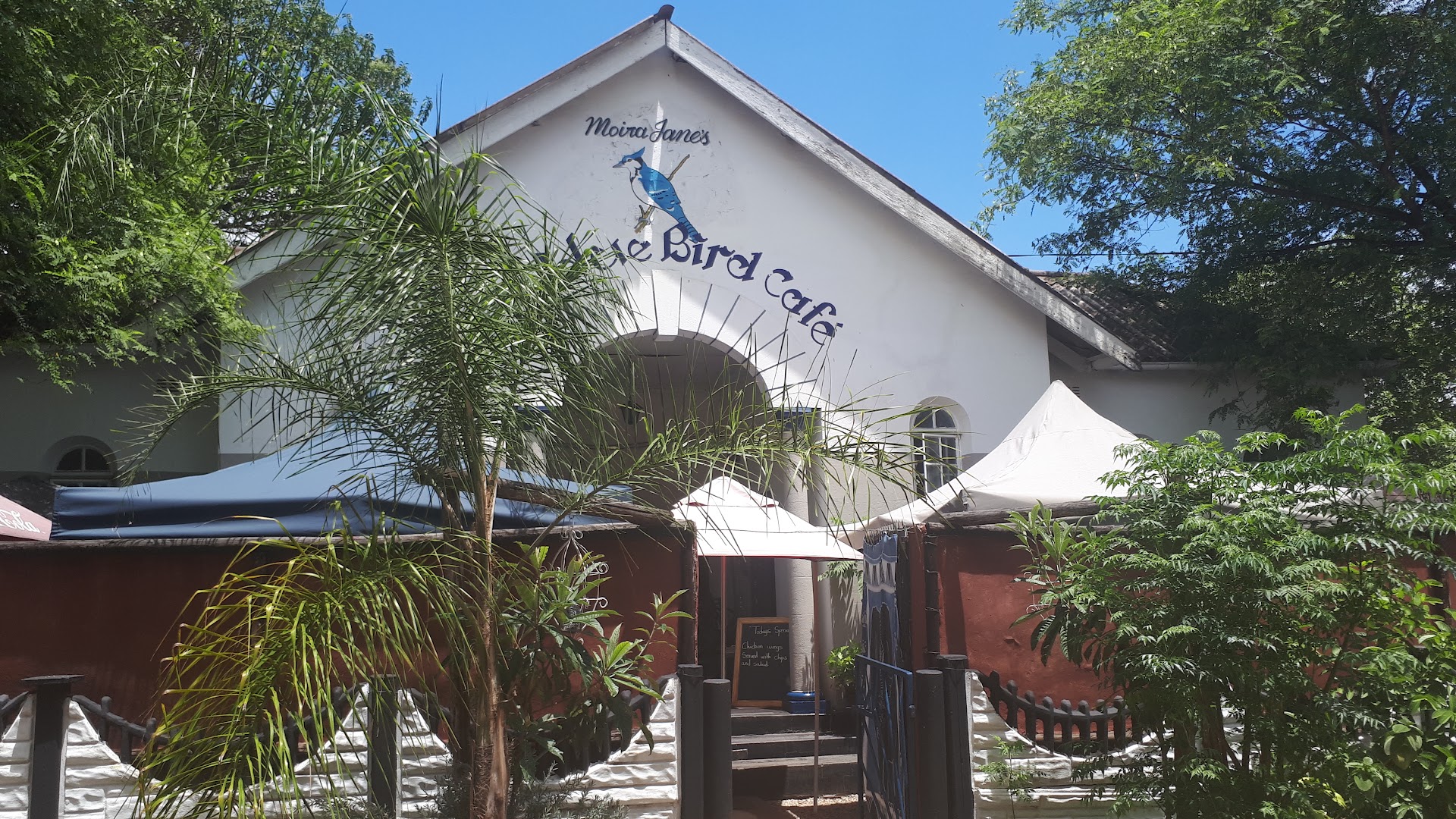Moira Jane's Blue Bird Cafe: clear exterior shot of venue